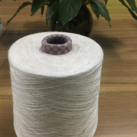 金属包芯纱系列 金、银、闪光丝混纺 系类包芯纱（1-10点）2/48NM 可根据客户需求定制