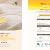 warmginger暖姜
