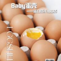 蛋壳纤维