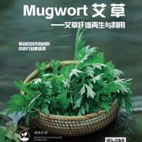 紧密赛络纺 平纱  粘胶纤维50% 艾草纤维50%  40S
